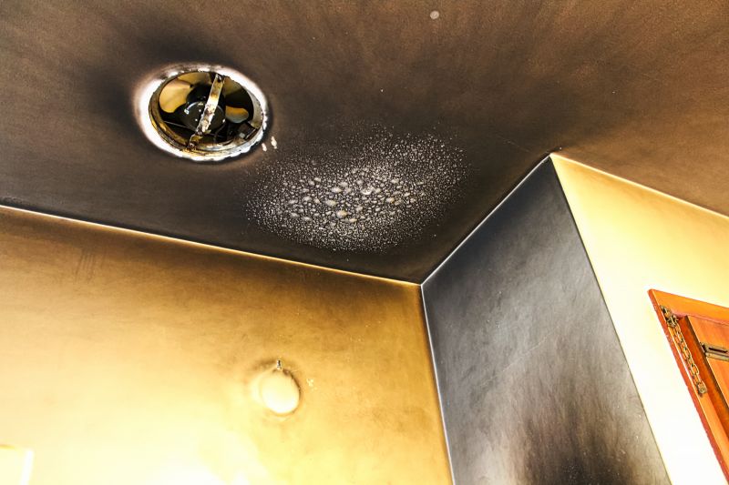 Bathroom Ceiling Restoration